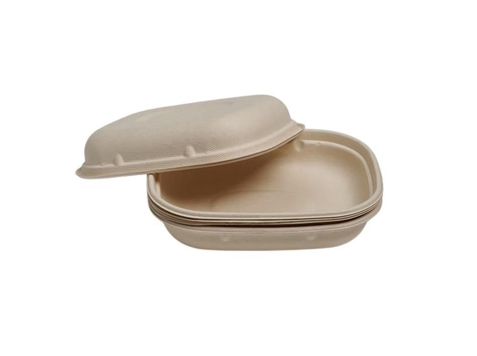 Falcon Bagasse Food Container, 1300 ml - 50 pcs x 6
