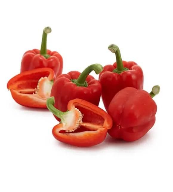 Baby Capsicum Red, Netherlands - 250g