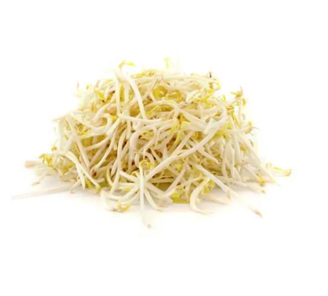 Bean Sprouts, UAE