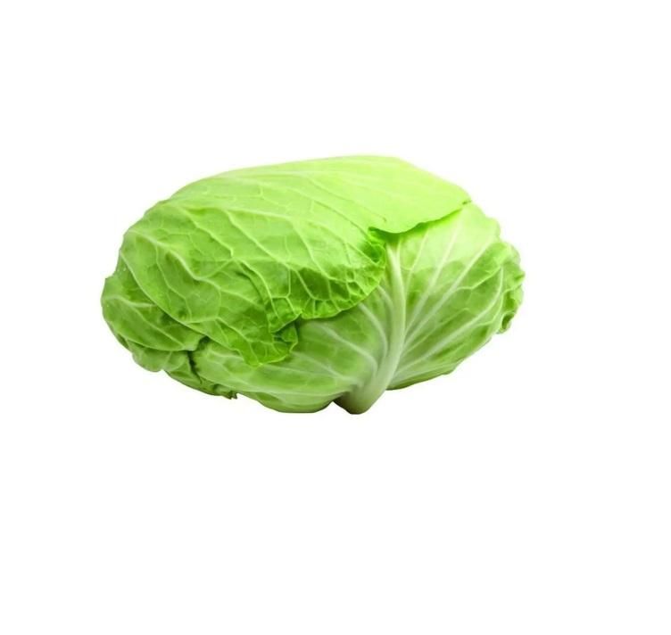 Cabbage Flat, Jordan - 1.9 to 2. kg
