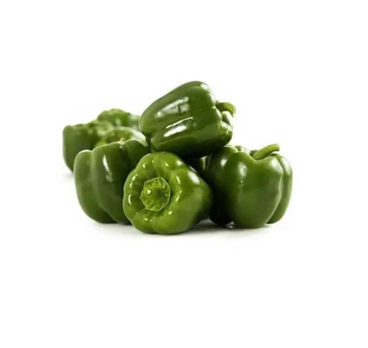 Capsicum Green, Iran - 500g