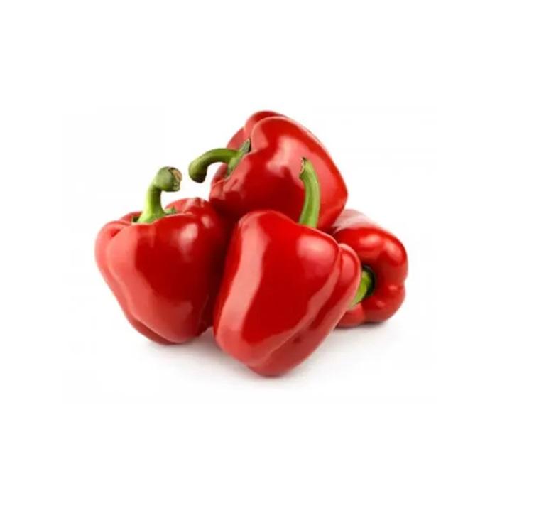Capsicum Red, Iran - 500g