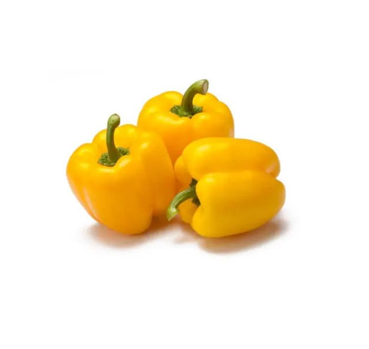 Capsicum Yellow, Iran - 500g