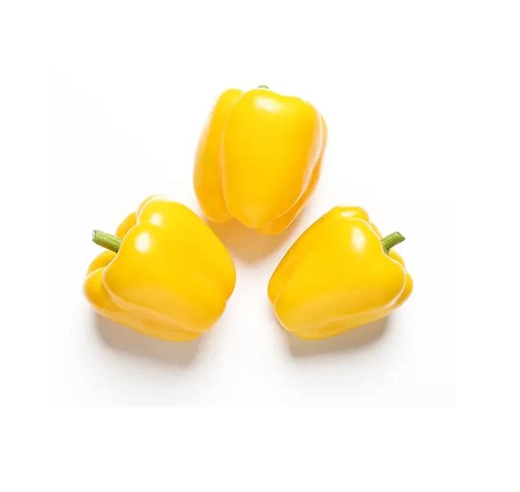 Capsicum Yellow, Spain - 500g