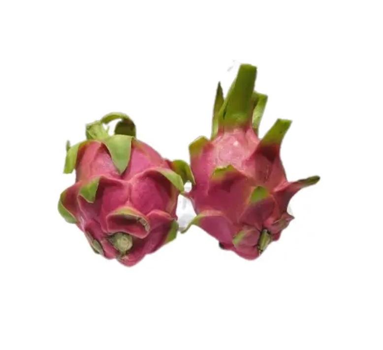 Dragon Fruit White, Vietnam