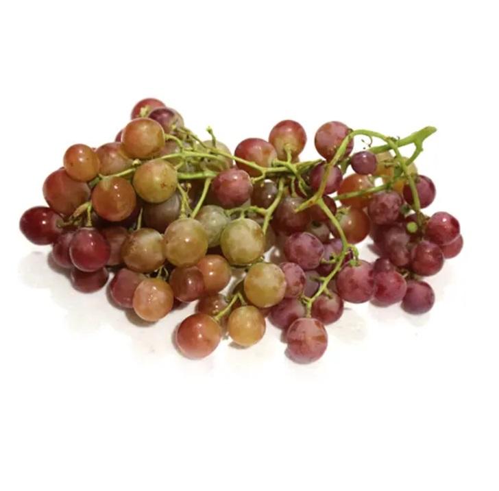 Grapes Red Globe, Lebanon