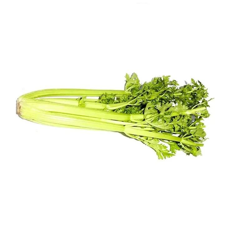 Celery, Iran - 700 to 900g