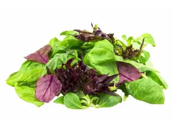 Del Monte Mixed Chopped Lettuce - 500g