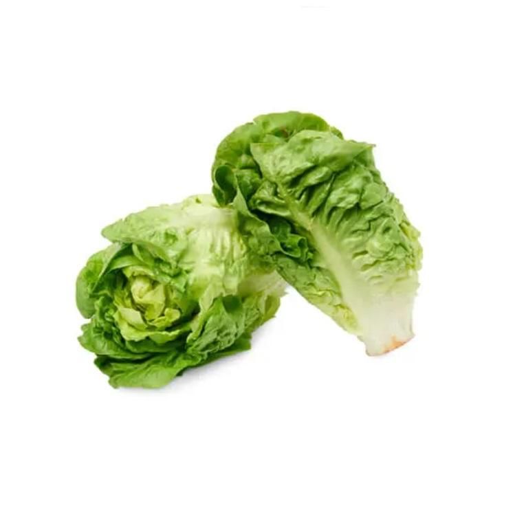Gem Lettuce, Spain - 500g