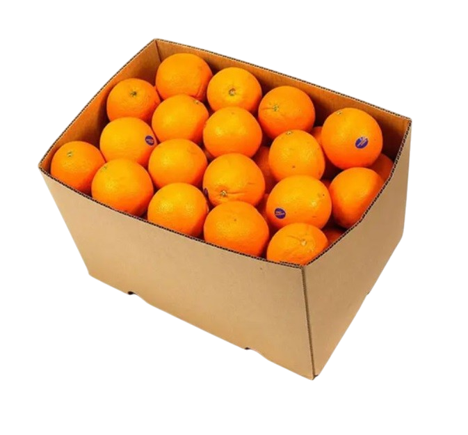 Orange Valencia, Egypt - 1 kg