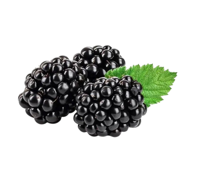 Blackberry, Mexico - 125g