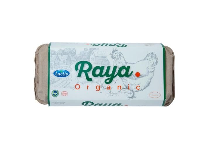 Lactio Raya Organic Eggs - 10 pcs