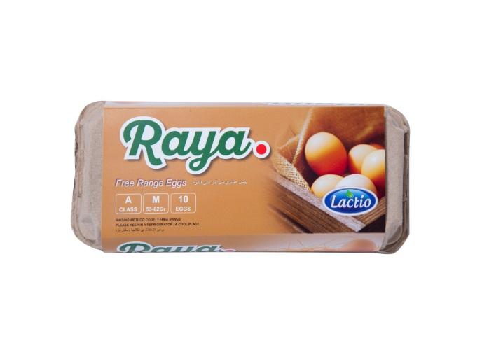 Lactio Raya Free Range Eggs - 10 pcs