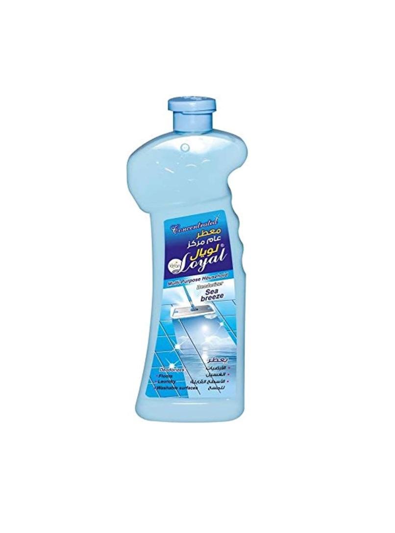 Loyal Multi-Purpose Household Deodorizer Concentrated Gel, Sea Breeze Scent  - 700 ml