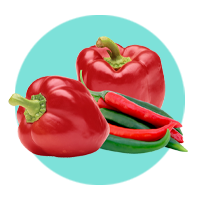 Capsicum