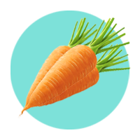 Carrot