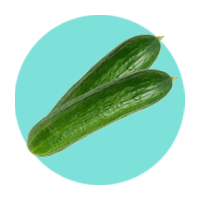 Cucumber