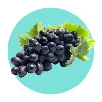 Grapes