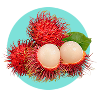 Rambutan