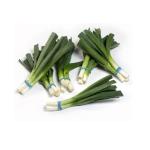 Baby Leeks, South Africa - 200g