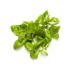 Basil, UAE - 100g