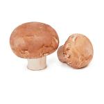 Brown Mushroom, Netherlands - 250g