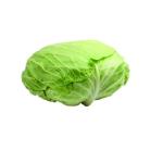 Cabbage Flat, Jordan - 1.9 to 2. kg