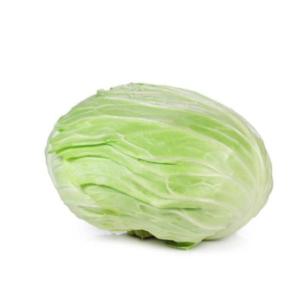 Cabbage Flat, Jordan - 2 to 2.2 kg