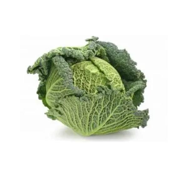 Cabbage Savoy, Netherlands - 1 to 1.2 kg