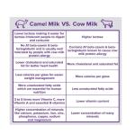 Camelicious Camel Milk Full Cream Powder - 20g x 24 sachet