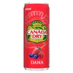 Canada Dry Dana Soda, Can - 250 ml