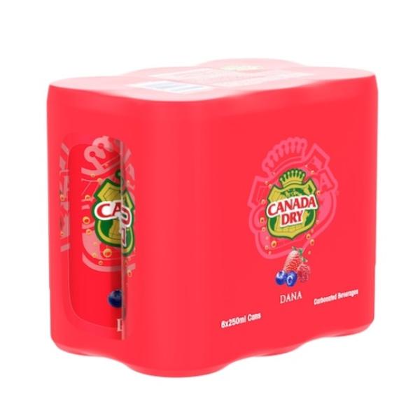 Canada Dry Dana Soda, Can - 250 ml x 6
