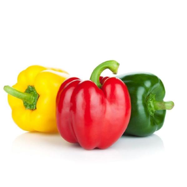 Capsicum 3 Colors, Spain - 500g (Pack)