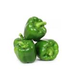 Capsicum Green, Iran - 500g (Pack)