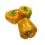 Capsicum Orange, GCC - 900g to 1 kg