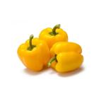 Capsicum Yellow, Iran - 500g