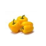 Capsicum Yellow, Spain - 500g (Pack)