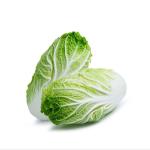 Chinese Cabbage, China - 1.3 to 1.5 kg