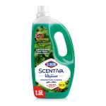 Clorox Scentiva Multipurpose Disinfectant Floor Cleaner, Pine Scented - 1.5 Liter