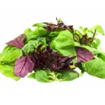 Del Monte Mixed Chopped Lettuce - 500g