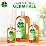 Dettol Liquid Antiseptic Disinfectant - 750 ml