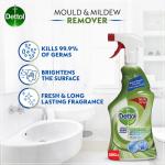 Dettol Mould and Mildew Remover - 500 ml