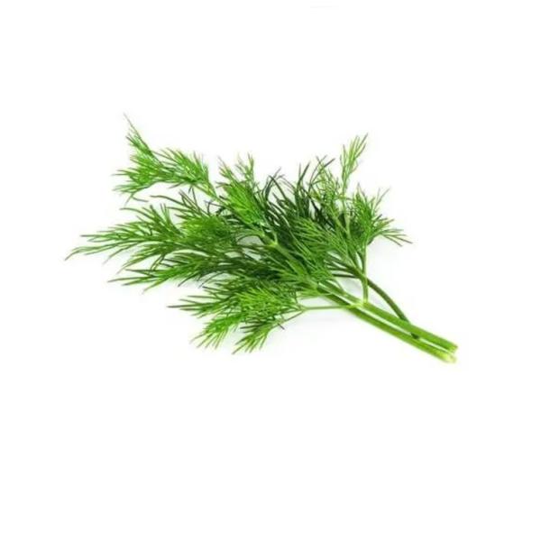 Dill Leaves, UAE - 100g