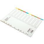 Divider 10 Color Tab, A4 - 15 Sets