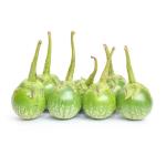 Eggplant Baby Green, GCC - 500g