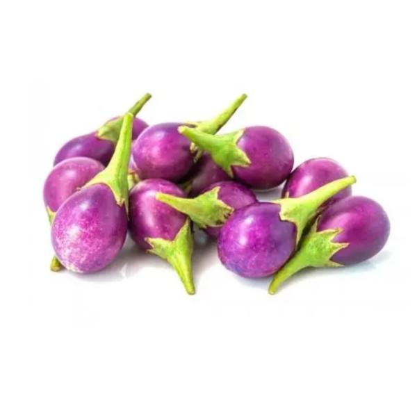 Eggplant Baby Purple, GCC - 500g