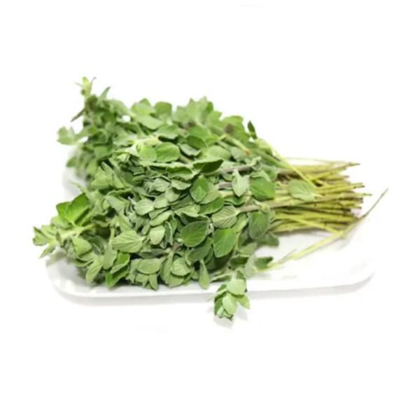 Fresh Oregano Leaves, Kenya - 50g