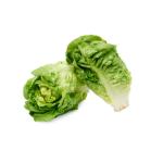 Gem Lettuce, Spain - 500g