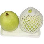 Guava, Thailand - 600g