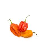 Habanero Chillies, Holland - 100g (Pack)